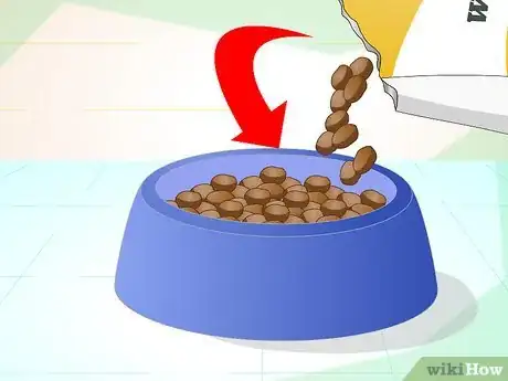 Imagen titulada Keep Your Yorkie's Teeth Clean Step 13