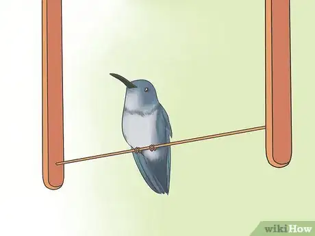 Imagen titulada Attract Hummingbirds Step 4