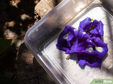 Imagen titulada Make Violet Tea Step 5Bullet1