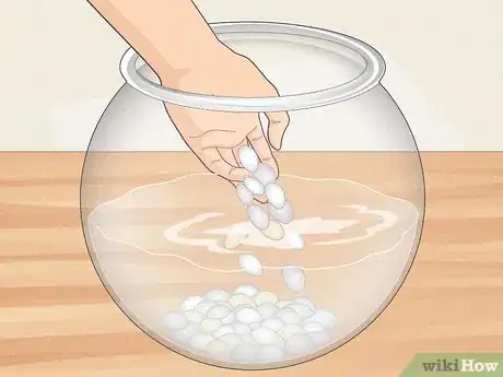 Imagen titulada Clean a Betta Fish Bowl Step 19