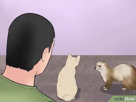 Imagen titulada Keep Ferrets in a Home with Other Pets Step 5