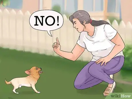 Imagen titulada Discipline Your Dog Step 1