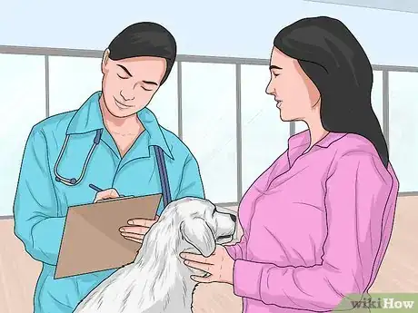 Imagen titulada Feed a Sick Dog Step 21