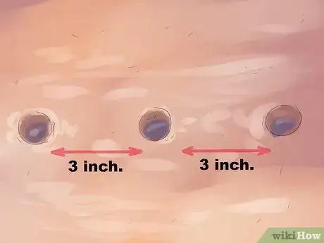 Imagen titulada Grow Pinto Beans Step 7
