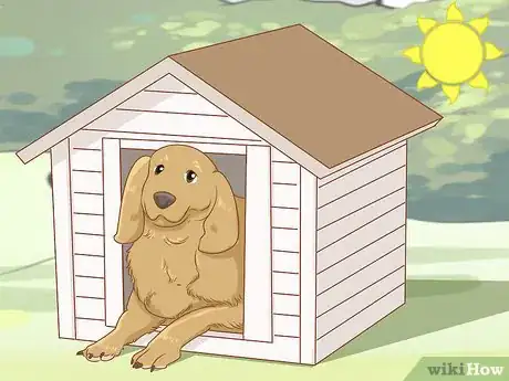 Imagen titulada Stop a Dog from Digging Step 8