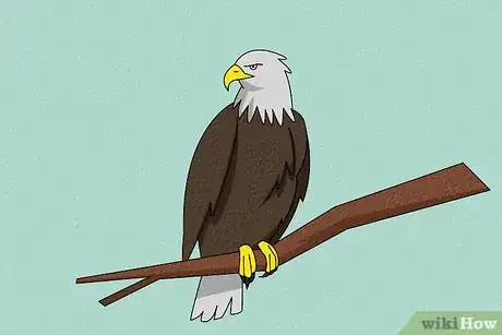 Imagen titulada Draw an Eagle Step 8
