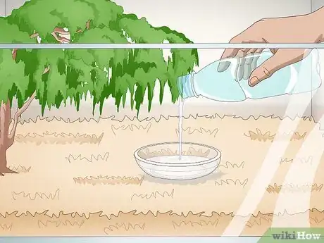 Imagen titulada Care for an Eastern Box Turtle Step 9