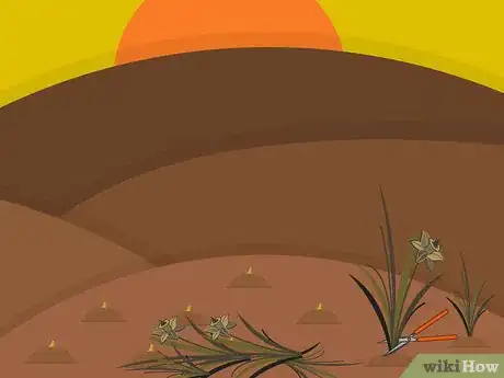 Imagen titulada Plant Narcissus Bulbs Step 16