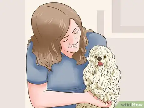 Imagen titulada Choose a Poodle for Breeding Step 9