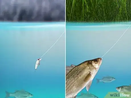 Imagen titulada Use Fishing Lures Step 9