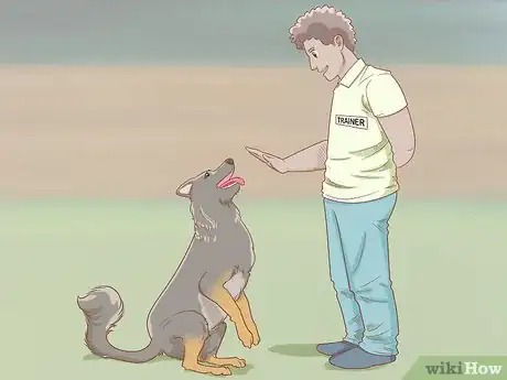 Imagen titulada Stop a Dog from Digging Step 6