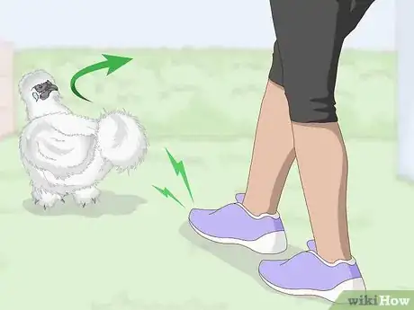 Imagen titulada Pet a Chicken Step 4
