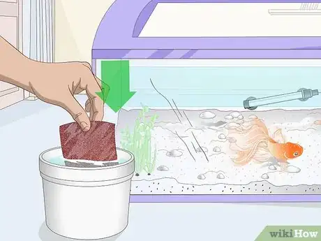 Imagen titulada Fix Scratches on an Aquarium Step 2