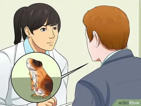 Imagen titulada Know if a Pet Guinea Pig Is Ill Step 3