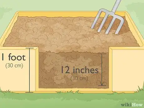 Imagen titulada Grow Baby Spinach Step 10