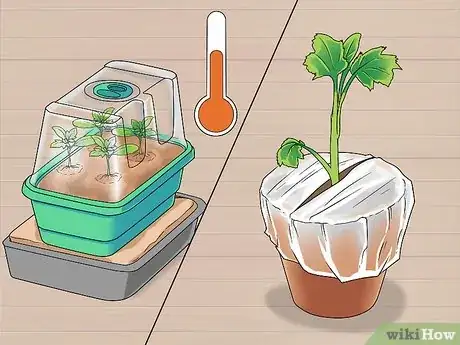 Imagen titulada Grow Delphinium Step 14
