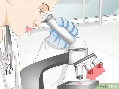 Imagen titulada Diagnose Mastitis in Dogs Step 7
