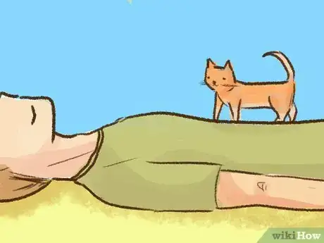 Imagen titulada Stop a Kitten from Biting Step 8
