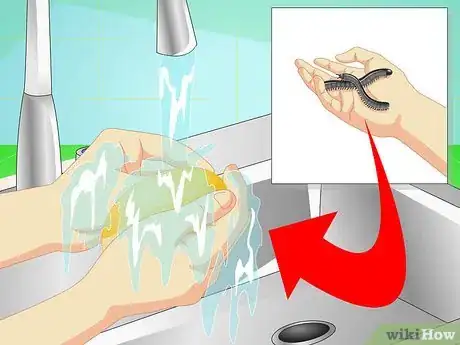 Imagen titulada Make a Millipede Habitat Step 16