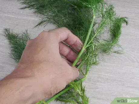 Imagen titulada Preserve Fennel Step 17