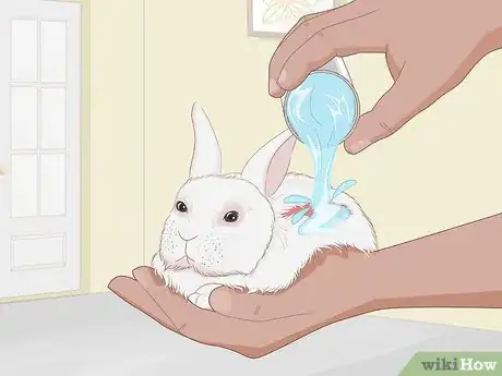 Imagen titulada Care for an Injured Rabbit Step 9