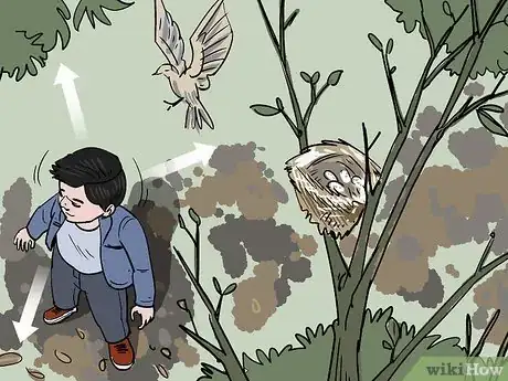 Imagen titulada Move a Bird Nest Step 1