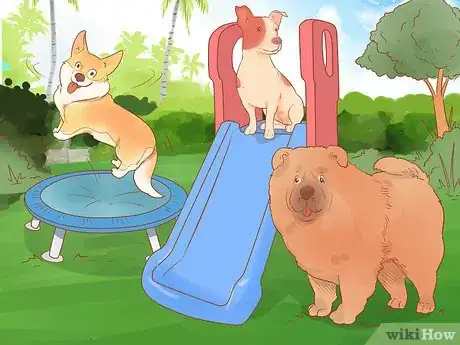 Imagen titulada Introduce a Dog to a Dog Park Step 17