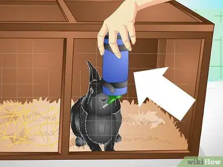 Imagen titulada Keep a Rabbit Warm Step 5