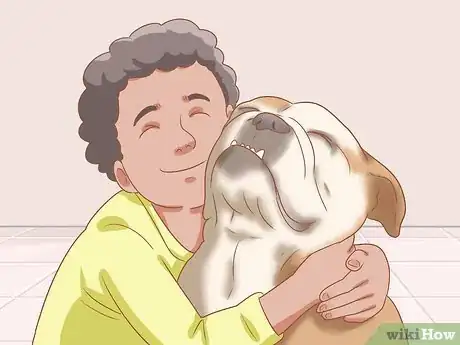 Imagen titulada Identify an English Bulldog Step 9
