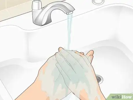 Imagen titulada Clean a Betta Fish Bowl Step 6