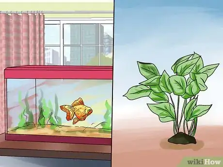 Imagen titulada Identify Finrot Step 13