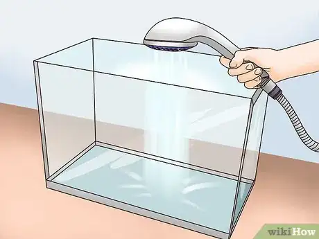 Imagen titulada Take Care of Your Carnival Goldfish Step 2