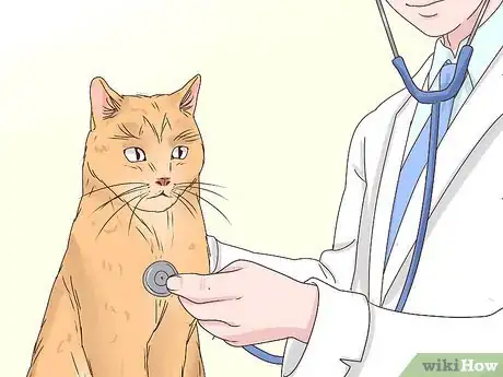 Imagen titulada Get Your Cat to Sleep With You Step 11
