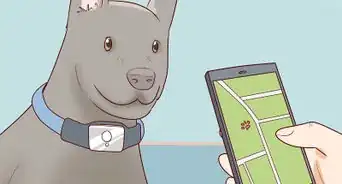 encontrar a un perro perdido