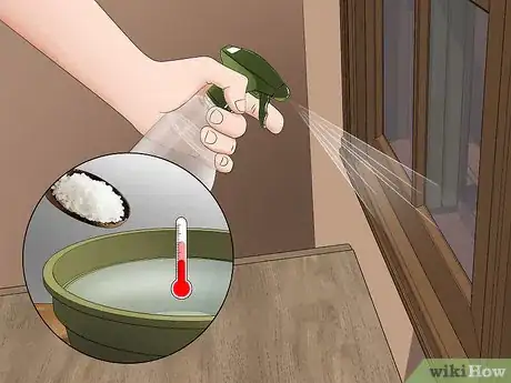 Imagen titulada Kill a Venomous Spider Step 13