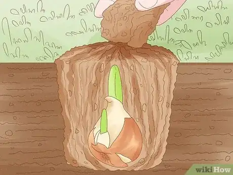 Imagen titulada Plant Bulbs in Grass Step 17