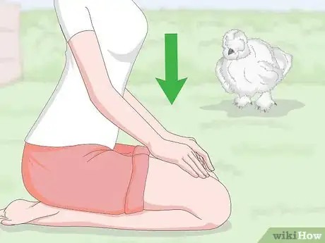 Imagen titulada Pet a Chicken Step 6