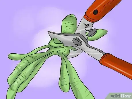 Imagen titulada Overwinter Dahlias Step 14