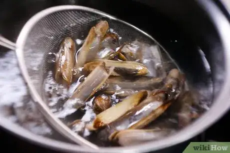 Imagen titulada Clean a Razor Clam Step 4