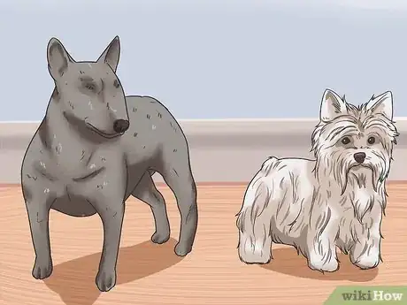 Imagen titulada Calculate Dog Years Step 9