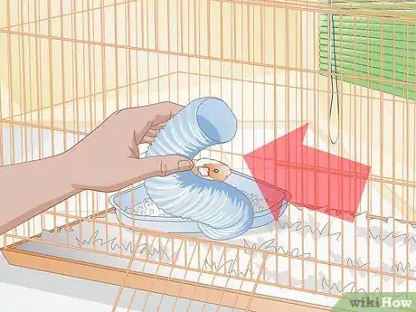 Imagen titulada Clean up After Your Guinea Pig Step 11