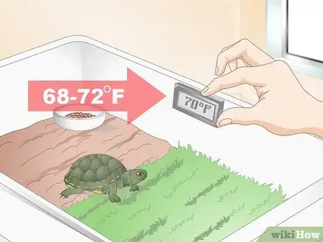 Imagen titulada Feed Your Turtle if It is Refusing to Eat Step 1