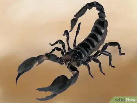 Imagen titulada Draw a Scorpion Step 21