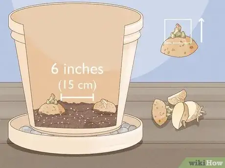 Imagen titulada Plant Potatoes in Pots Step 12