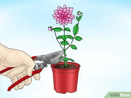 Imagen titulada Store Dahlias over Winter Step 2