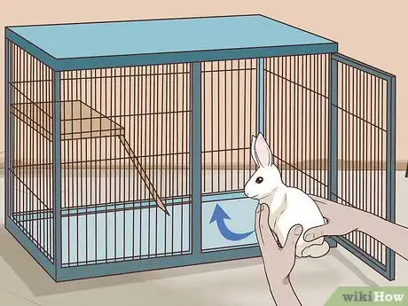 Imagen titulada Pet a Rabbit Step 10
