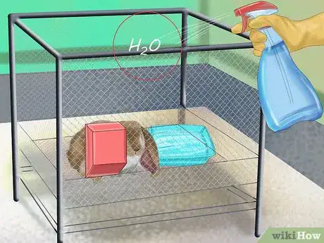 Imagen titulada Raise a Lop Eared Rabbit As a Pet Step 19