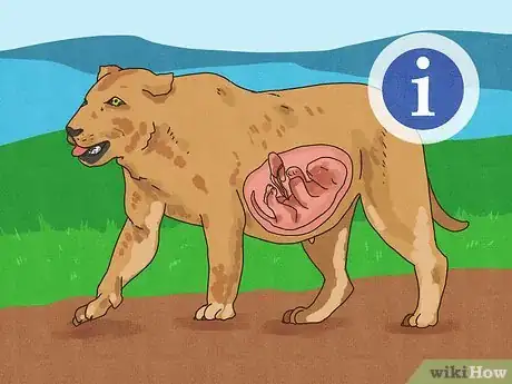 Imagen titulada Answer Where Do Babies Come From Step 12