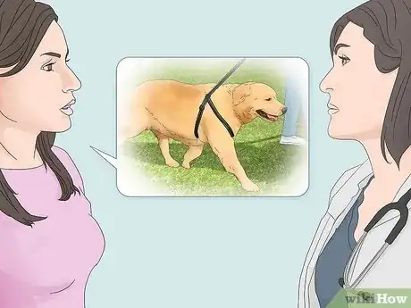 Imagen titulada Treat Obesity in Labrador Retrievers Step 8
