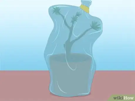 Imagen titulada Propagate Azaleas Step 21